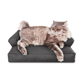 Katzen & Hunde